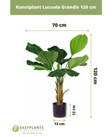 Kunstplant Lucuala Grandis 120 cm