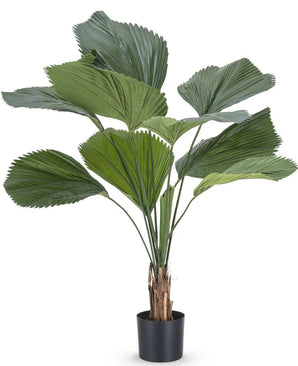 Kunstplant Lucuala Grandis 120 cm