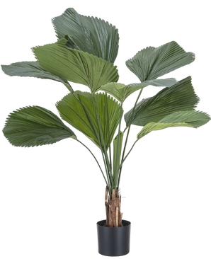 Artificial plant Lucuala Grandis 120 cm