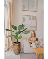 Kunstplant Lucuala Grandis 120 cm