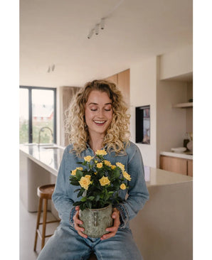 Artificial Plant Mini Rose 35 cm Yellow