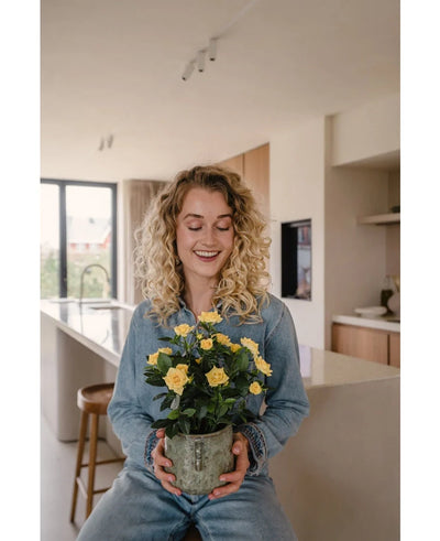 Een glimlachende vrouw met krullend blond haar, gekleed in spijkerstof, zit in een moderne keuken met de Kunstplant Mini Rose UV 35 cm geel op haar schoot.