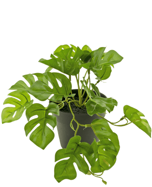 Artificial Plant Monstera 18 cm