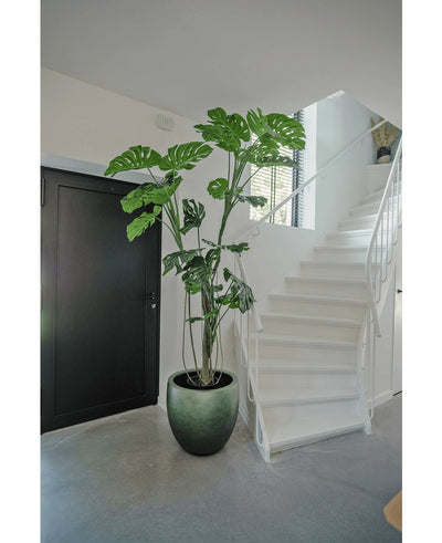 Een Kunstplant Monstera 210 cm staat in een pot op een grijze vloer naast een witte trap met een gebogen leuning in een modern, minimalistisch interieur. Links is een zwarte deur zichtbaar.