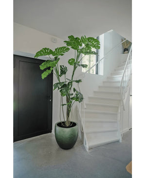 An Artificial Plant Monstera 210 cm stands in a pot on a gray floor next to a white staircase with a curved banister in a modern, minimalist interior. A black door is visible on the left.