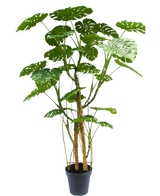 Artificial Plant Monstera 240 cm - Easyplants Artificial Plants & Flowers