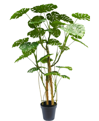 Artificial Plant Monstera 240 cm - Easyplants Artificial Plants & Flowers