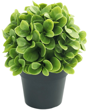 Artificial plant Murraya 20 cm UV