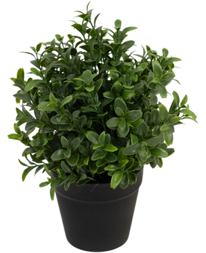 Artificial plant Murraya 21 cm