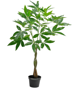 Artificial plant Pachira 90 cm