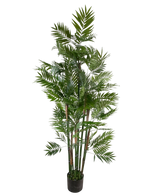 Artificial Plant Parlour 180 cm - Easyplants Artificial Plants & Flowers