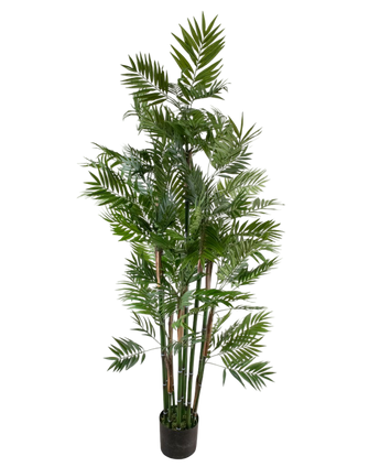 Artificial Plant Parlour 180 cm - Easyplants Artificial Plants & Flowers