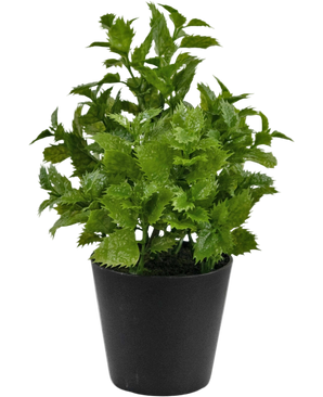 Artificial plant perilla 25 cm