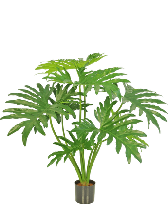 Artificial plant Philodendron 80 cm - Easyplants Artificial Plants & Flowers
