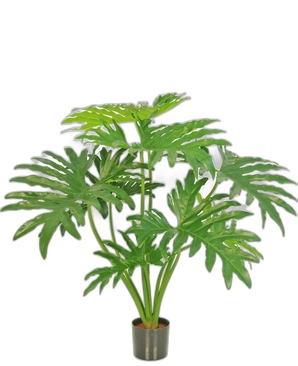 Kunstplant Philodendron 80 cm
