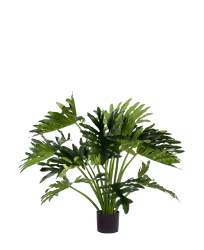 Artificial plant Philonddron 90 cm