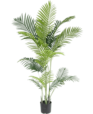 Artificial plant Phoenix 160 cm