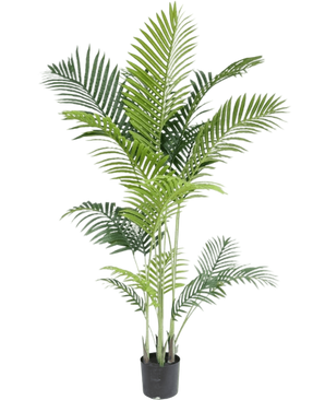 Artificial plant Phoenix 160 cm