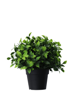 Artificial Plant Photinia in Pot 22cm UV