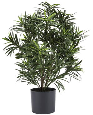 Artificial plant Podocarpus 47 cm