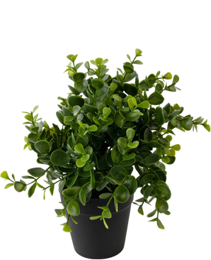 Artificial plant Pumila 20 cm