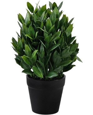 Artificial plant Pumila 23 cm