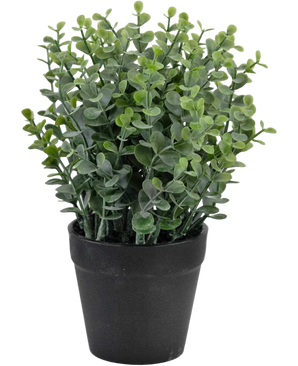 Artificial plant Pumila 23 cm