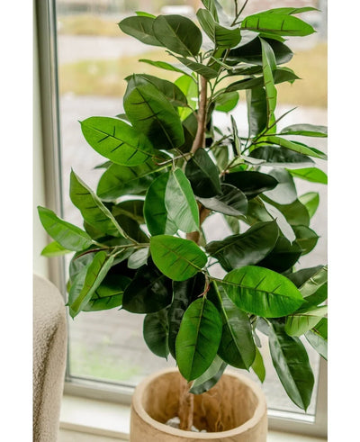 The Artificial Rubber Plant 150 cm is placed near a window. The large glossy dark green leaves catch the natural light and give any room an elegant look.