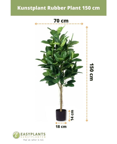 Artificial plant Rubber plant 150 cm with dark green leaves in a stylish black pot. Height: 150 cm, width: 70 cm, pot diameter: 18 cm, pot height: 14 cm - ideal for decorative pots.