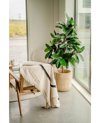 A cozy corner has a chair with a cream-colored blanket, a small round table and the Artificial Rubber Plant 150 cm in elegant pots next to floor-to-ceiling windows that fill the space with natural light.