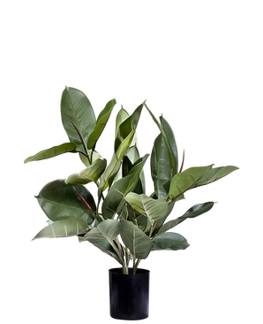 Artificial plant rubber plant 51 cm