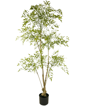 Artificial plant Ruscus 150 cm