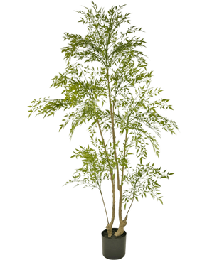 Artificial Plant Ruscus 180 cm