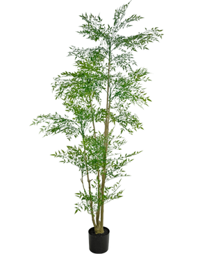Artificial plant Ruscus 210 cm