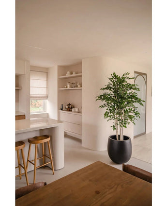 Een moderne, minimalistische keuken met witte muren en kasten, houten krukjes bij een wit aanrecht, open schappen met servies en een Kunstplant Ruwe Berk 210 cm in een zwarte plantenbak naast de houten eettafel.