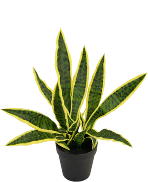 Artificial plant Sansevieria Laurentii 44 cm in Sierpot