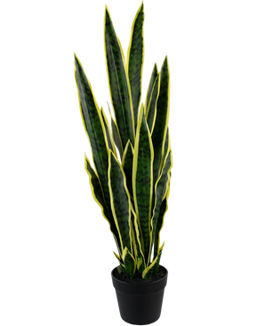 Artificial plant Sansevieria Laurentii 92 cm in Sierpot