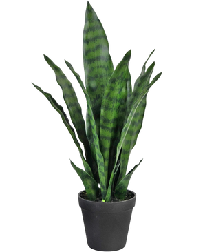 Artificial plant Sansevieria Zeylanica 44 cm