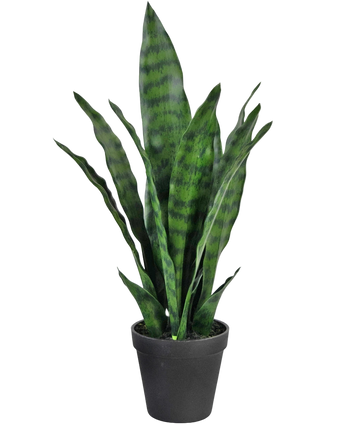 Artificial plant Sansevieria Zeylanica 44 cm - Easyplants Artificial Plants & Flowers