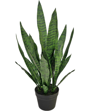 Artificial plant Sansevieria Zeylanica 71 cm
