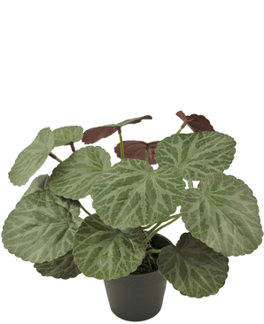 Artificial Plant Saxifraga 27 cm