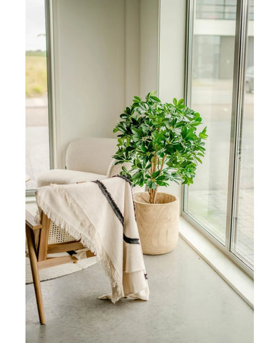 Een knus hoekje met een beige fauteuil bij een groot raam, een crèmekleurige deken over de stoel gedrapeerd en de Kunstplant Schefflera 120 cm in een lichtgekleurde pot op de vloer. Natuurlijk licht vult de moderne, minimalistische ruimte.