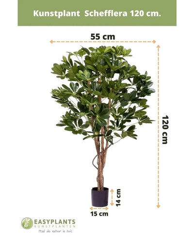 Kunstplant Schefflera 120 cm in zwarte pot, 55 cm breed en potdiameter van 15 cm. De plant heeft meerdere groene bladeren en staat op een witte achtergrond met zichtbare afmetingen.