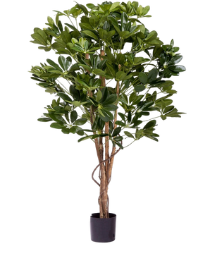 Artificial plant Schefflera 120 cm.