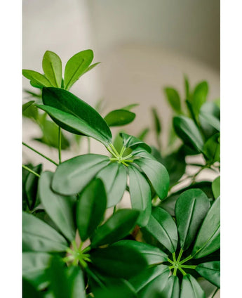 Kunstplant Schefflera 120 cm.