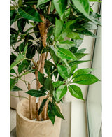 Kunstplant Schefflera 150 cm