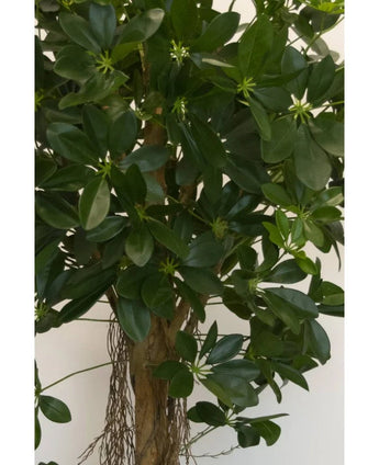 Kunstplant Schefflera klein blad 150 cm