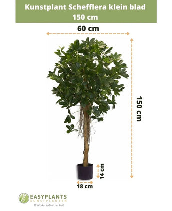 The Artificial Schefflera small leaf 150 cm has small leaves in a decorative pot, is 150 cm high, 60 cm wide, with a pot height of 14 cm and a diameter of 18 cm. Measurements are indicated with arrows.