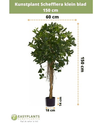 The Artificial Schefflera small leaf 150 cm has small leaves in a decorative pot, is 150 cm high, 60 cm wide, with a pot height of 14 cm and a diameter of 18 cm. Measurements are indicated with arrows.