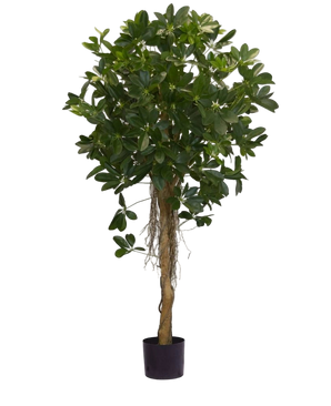 Artificial plant Schefflera small leaf 150 cm